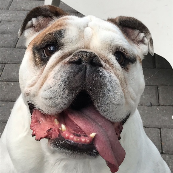 Meet your Posher, Kevin - Picture 1 of 1